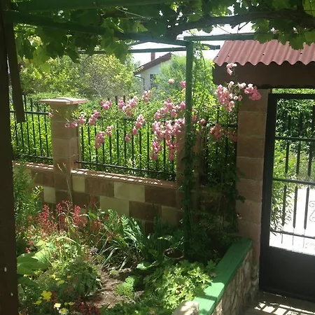 Estet Balchik