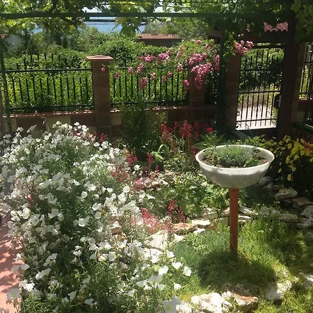 Estet Guest house