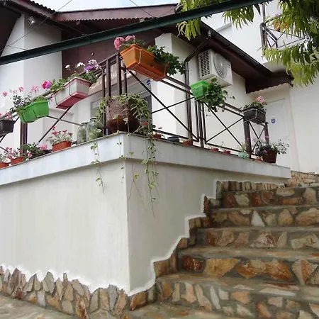 Estet Guest house